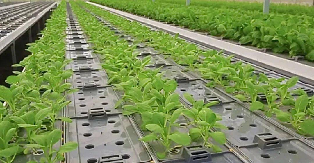 沭阳成功创建节水型社会建设达标县