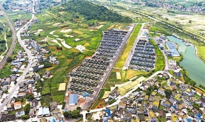 工厂化养殖的对虾长啥样