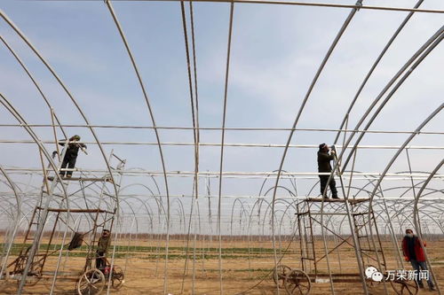 县农副产品加工发展服务中心多举并措抓好农业产业提档升级重点项目