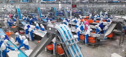 走进县城看发展 山东农业大县诸城食品产业总产值超400亿元