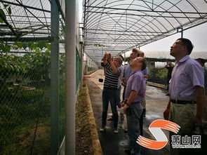 我区迎来创建 省级农产品质量安全放心县 工作考评检查