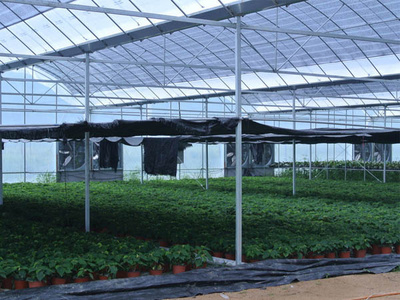 亚日集团助力光伏农业大棚发展