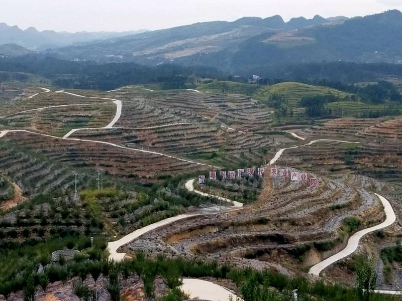 广黔帮扶:“招商引资,以商带商”,白云干部建现代农业产业园带领当地群众致富