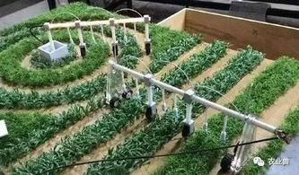 以色列农业发展：农业不只关乎农民，更关乎科技创新与国家战略