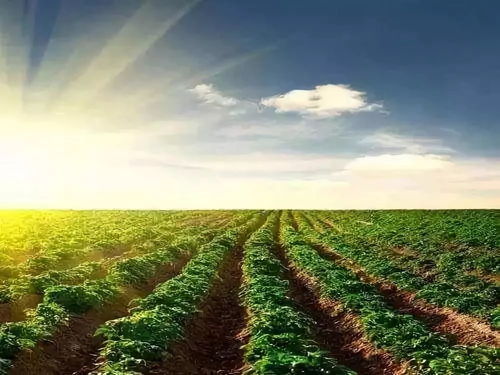 农业为国之根本 未来农业开发的小趋势