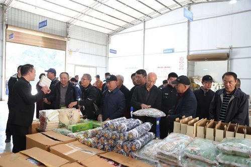 喜迎重阳 农业开发中的安康中院老前辈佳节纪念