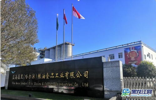 深耕龙江十余载 金龙鱼粮油王者C位登创农业开发