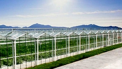 河南农园农业科技开发——推动现代农业发展的新引擎