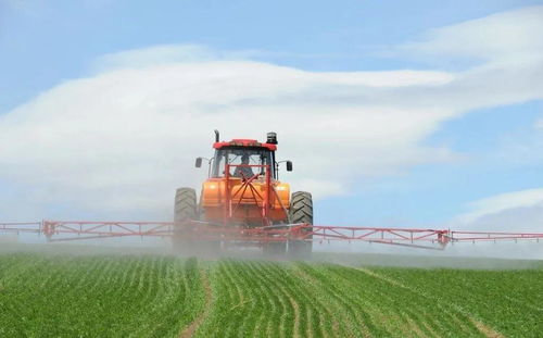 统筹推进农村疫情防控与农业开发 保障农产品供给安全