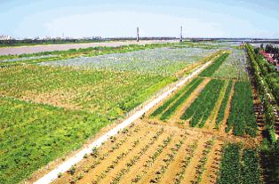 点亮农业智慧之光——现代农业创新开发与经济发展新路径