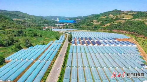 现代农业蓬勃发展 崇信打造全产业链蔬菜产业示范区