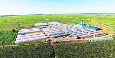 扶余 产业强、农民富，绘就千里沃野新图景