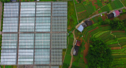 重庆巫溪 技术提升助力马铃薯产业发展，推动农业创新开发