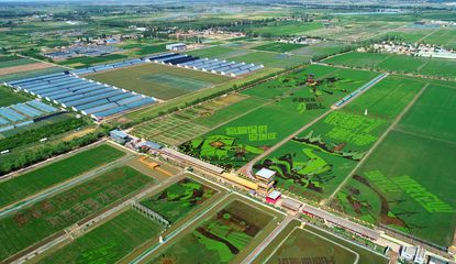 银川农业开发新篇章 创新驱动与可持续发展并进