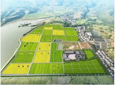 从“伏羲农场”看通辽开发区未来农业新图景