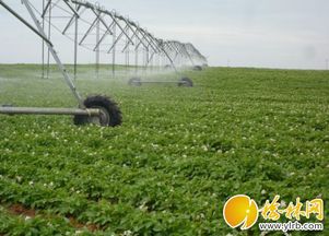 农机补贴精准落地，我市现代农业发展注入新动能