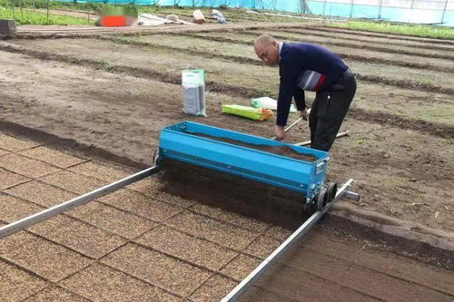 责任铸就诚信，匠心滋养沃土——记兴安盟岭南香农产品开发有限责任公司的农业开发之路