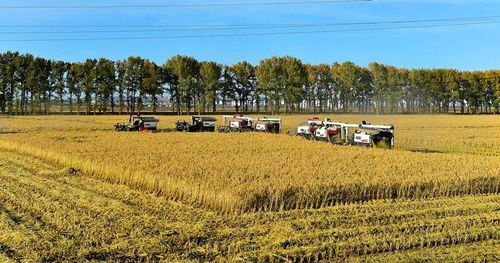 三产融合激发雪城现代农业发展新活力