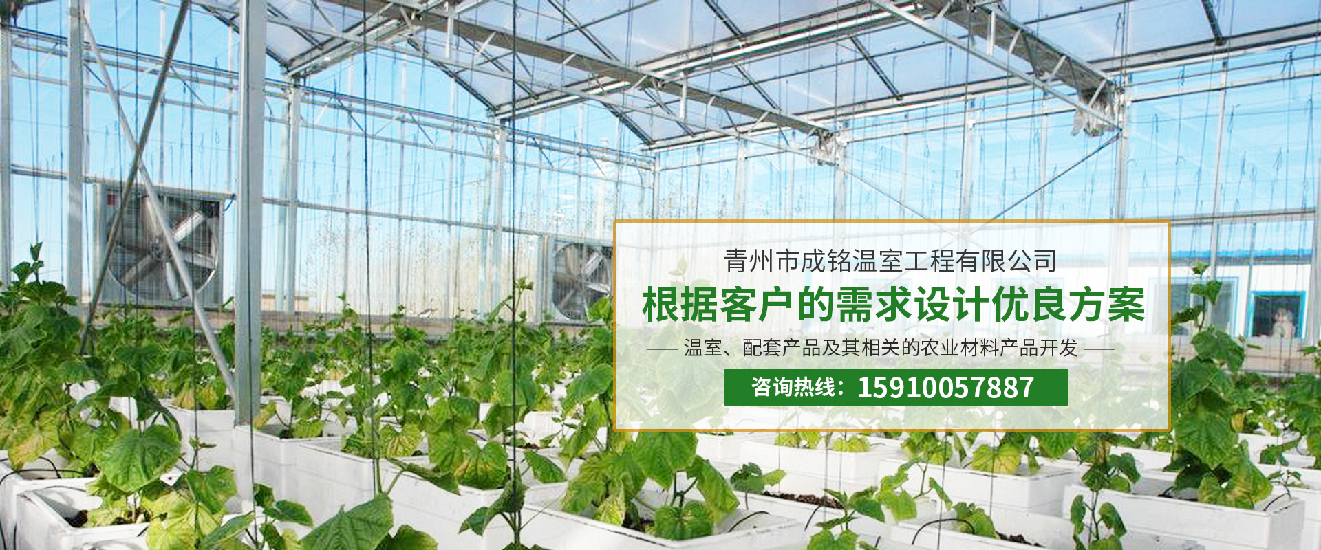 冬季温室大棚如何做好通风 日光温室通风口如何使用-趣丁网