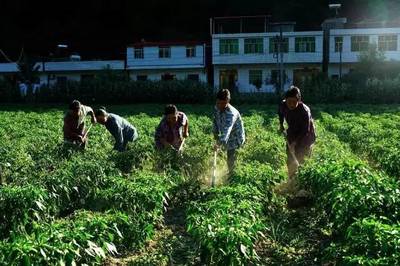竹溪县天宝乡,无限风光在“大峡”