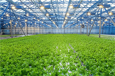 开一家天赋生态农业开发加盟费多少?大致需要8.1万元起