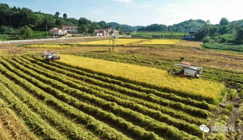 农业强 农村美 农民富 这样的乡村你爱了吗