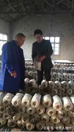 一生为民 无怨无悔——湖南常德市食用菌产业协会会长马永春访谈录