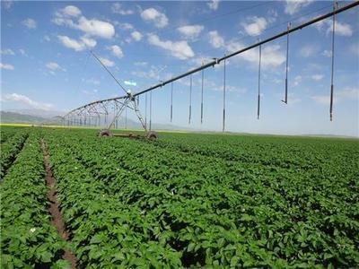 有机农业种植技术在中国的发展与应用——以贵州辉煌农业开发为例