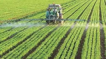 延伸农业产业链促农业增效农民增收