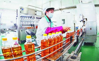 吉林 厚植黑土优势，赋能农业升级，擘画现代农业新蓝图